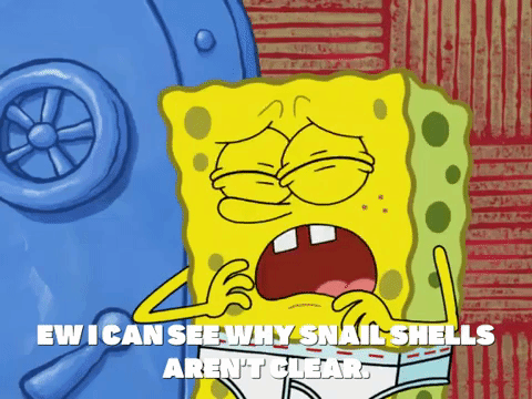 season 6 episode 21 GIF by SpongeBob SquarePants