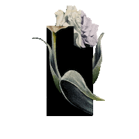 Art Flower Sticker