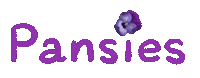 Flowers Pride Sticker