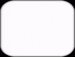 Fly Bug GIF by Barbara Pozzi