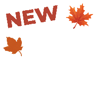 Fall Arrivals Sticker by Adinas Jewels