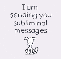 I Love You GIF by Chippy the Dog