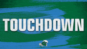 Touchdown Tulane GIF by GreenWave