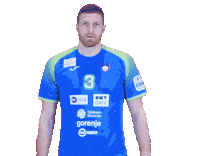 Handball Euro Sticker by Rokometna zveza