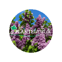Logo Sticker by Plantetorvet.dk
