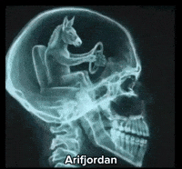 Arifjordan GIF