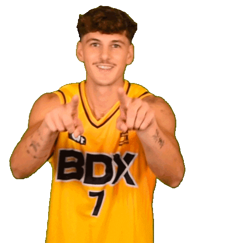 Basketball Basket Sticker by JSABMB