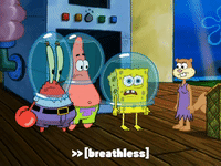 season 6 gullible pants GIF by SpongeBob SquarePants