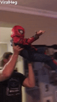 spiderman GIF by ViralHog