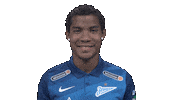Sport Soccer Sticker by Zenit Football Club