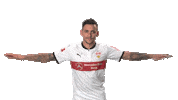 happy vfb stuttgart Sticker by Bundesliga