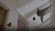 sharknado 3 explosion GIF by SYFY