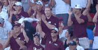Baseball College GIF by NCAA Championships