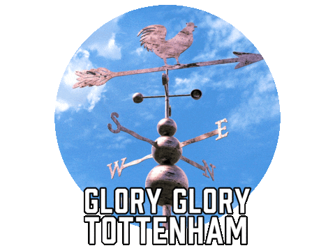 Tottenham Hotspur Football Sticker by Sealed With A GIF