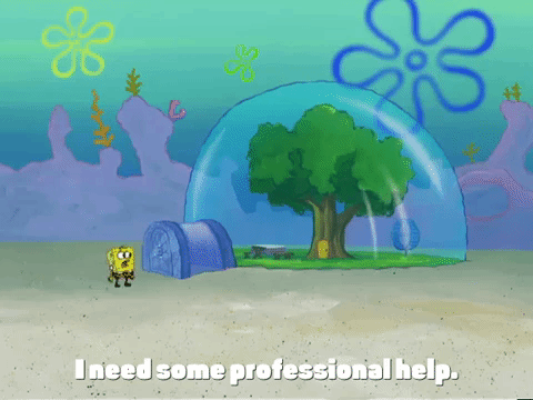 season 4 GIF by SpongeBob SquarePants