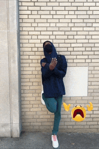 Pheonix Picture GIF