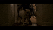 Scared Talk To Me GIF by VVS FILMS