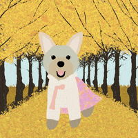 Autumntheyorkie GIF