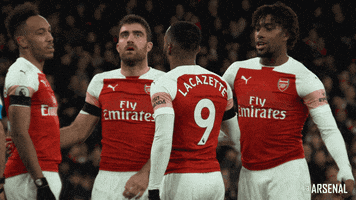 celebrate premier league GIF by Arsenal
