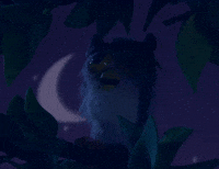 Night owl