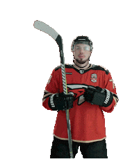 Goal Hockey Sticker by Avangard