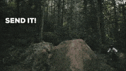 NOBLWheels  GIF
