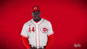 Yeah GIF by Cincinnati Reds