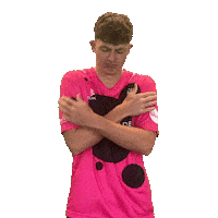 Premier League Ball Sticker by Somerset County Cricket Club