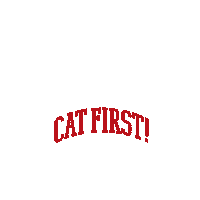 Cat Sticker by BEAMS