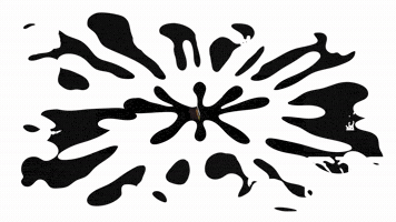 Splash Elements