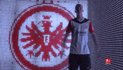 Come On Football GIF by Bundesliga