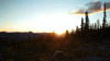 montana GIF