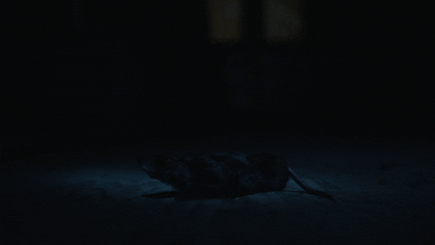 alfonso herrera GIF by The Exorcist FOX