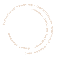 1337wz ballet pilates calisthenics functional Sticker