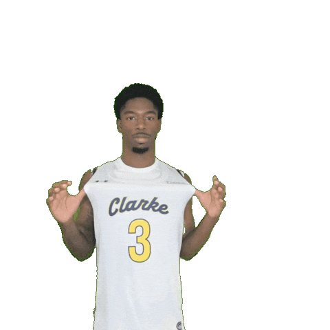Mens Basketball Sticker by Clarke University