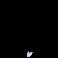 GIF by Le Jardin d'Acclimatation