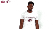 Southern Illinois Mvc GIF by Missouri Valley Conference