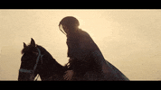 Ultra Music Travel GIF by Ultra Records