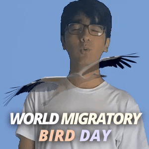 World Migratory Bird Day