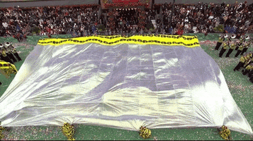 Macys Parade GIF by The 95th Macy’s Thanksgiving Day Parade