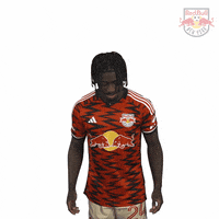 Happy Football GIF by New York Red Bulls