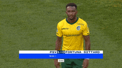 GIF by FOX Sports