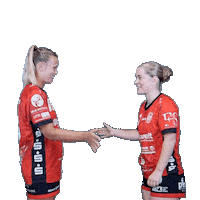 Handball Sticker by Hollenstedt-Handball