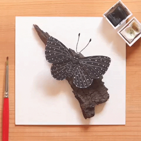 NVillustration giphyupload butterfly stop motion miniature GIF