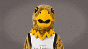 Eddietheeagle GIF by Cal State LA