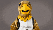 Eddietheeagle GIF by Cal State LA