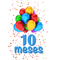 Festa 10 Meses Sticker