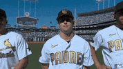 Major League Baseball Sport GIF by MLB