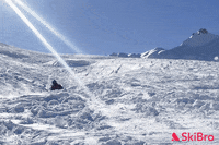 SkiBro fail fall oops crash GIF