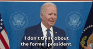 Joe Biden GIF by GIPHY News